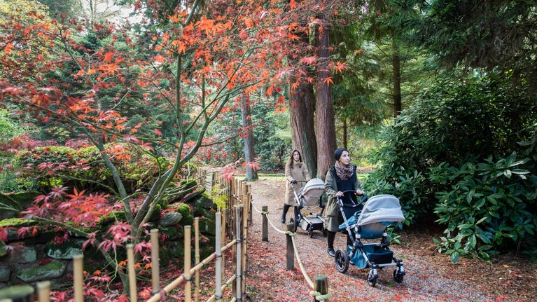 Two women with prams walking through an autumnal garden at Tatton Park